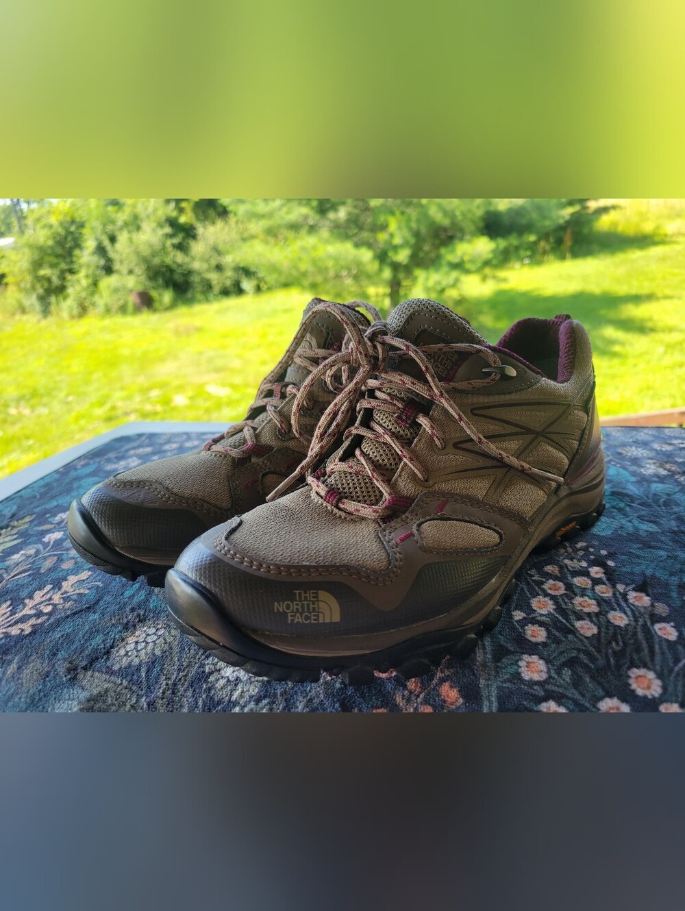 The North Face Hedgehog Fastpack Gore Brown Hiking Sneakers Size 9